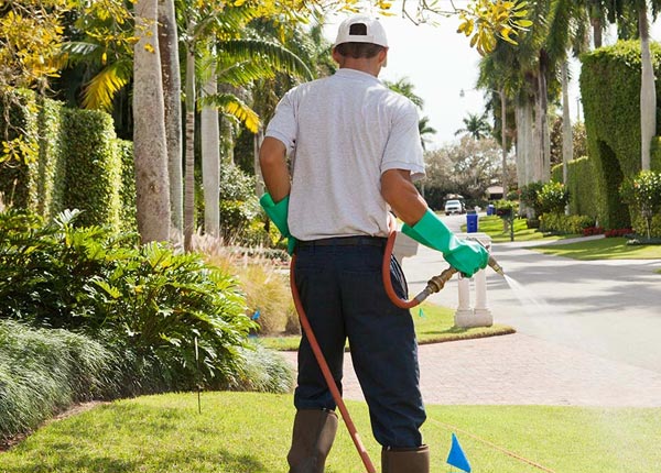 About Reddick FL Pest Control